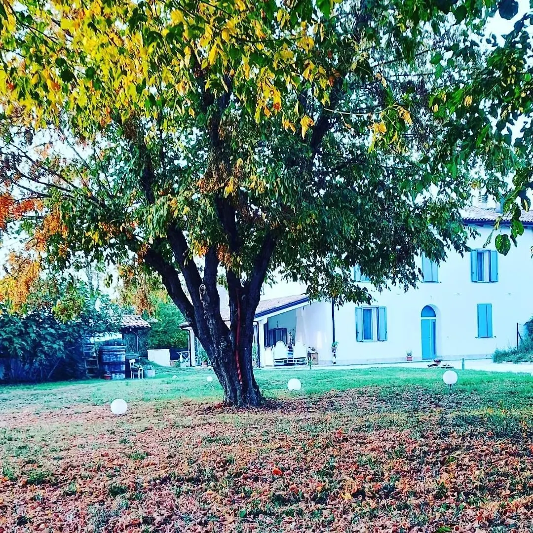 Armonie Di Campagna Rooms & Breakfast Di Valentini Sabina Calderara di Reno