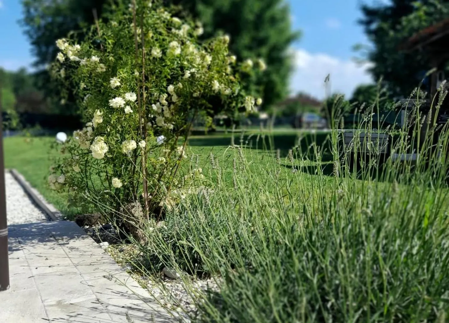 Armonie Di Campagna Rooms & Breakfast Di Valentini Sabina Calderara di Reno Oda ve Kahvaltı